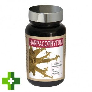 Nutri expert гарпагофітум