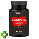 Вітамінно-мінералький комплекс Wella Vita Сomplex для всієї родини