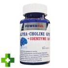Альфа-холін гліцерофосфат + Коензим Q10 POWERFUL