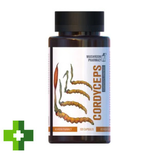 Гриб Кордицепс Mushroom Pharmacy Cordyceps