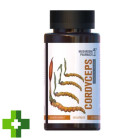 Гриб Кордицепс Mushroom Pharmacy Cordyceps