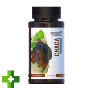 Гриб Чага Mushroom Pharmacy Chaga