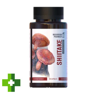 Гриб Шиїтаке Mushroom Pharmacy Shiitake