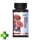 Гриб Шиїтаке Mushroom Pharmacy Shiitake