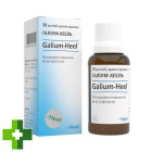 Галиум-хеель