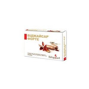 Віджайсар форте
