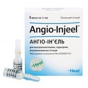 Ангио-инъель